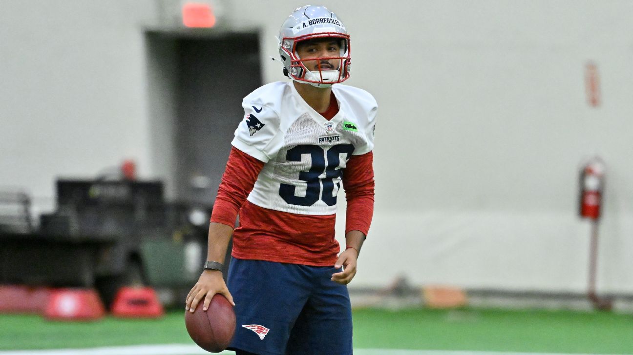 Andres Borregales: The Venezuelan Kicking Sensation Taking the NFL by Storm